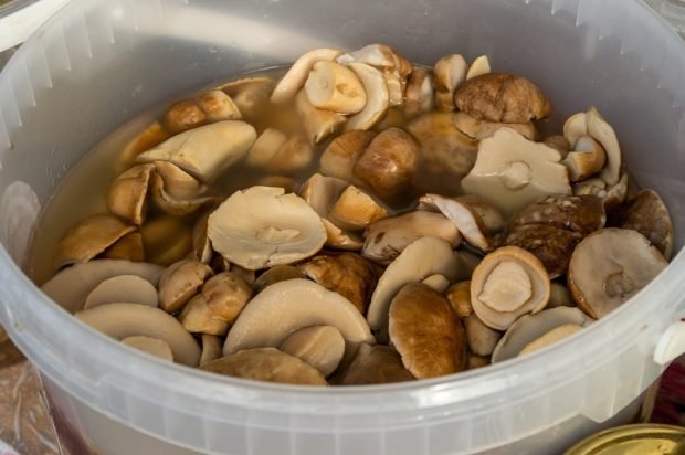 Рецепты с белыми грибами: простые блюда, которые стоит попробовать