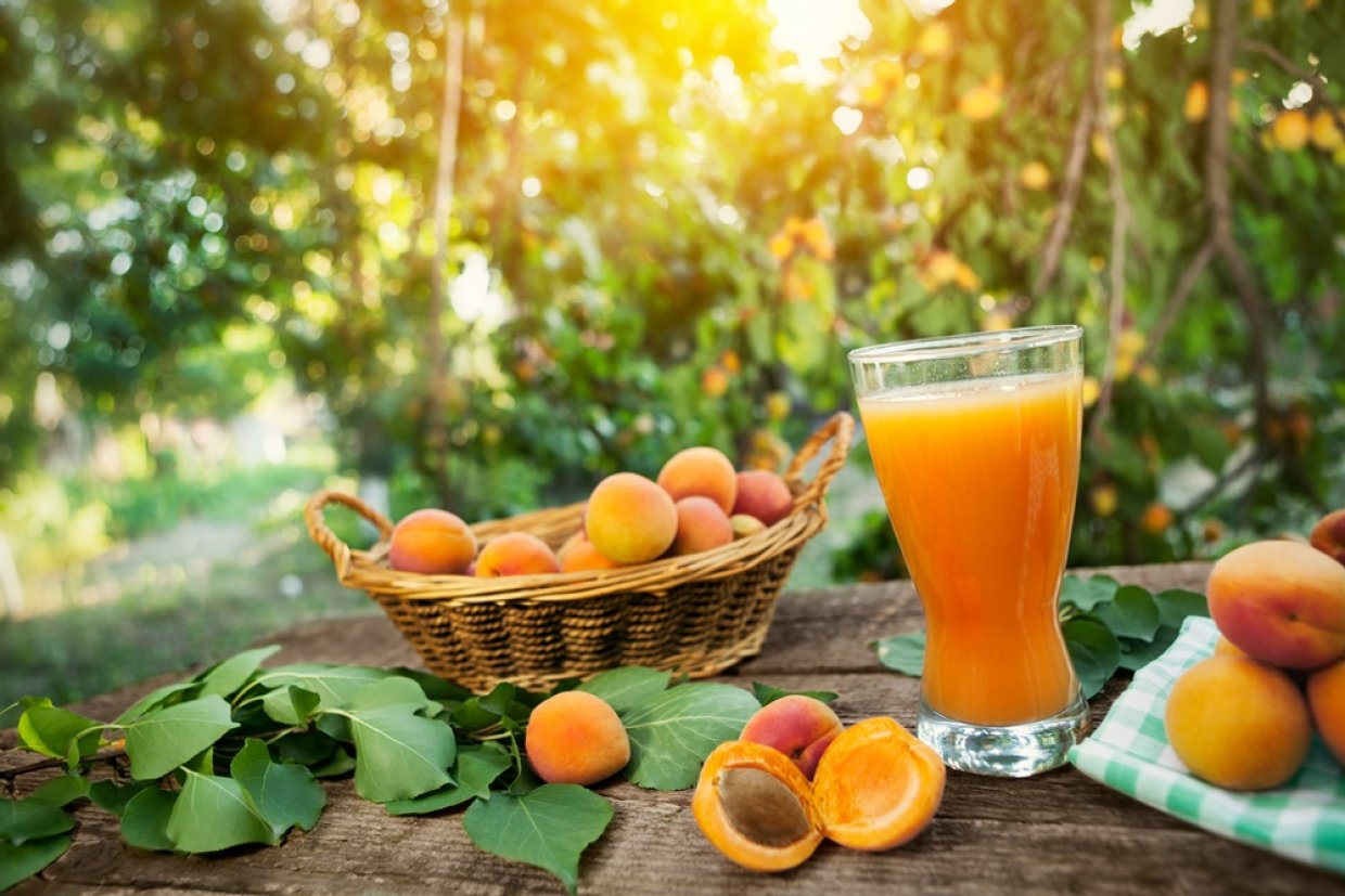 Сок из абрикосов в домашних условиях – простой и вкусный рецепт, как .
