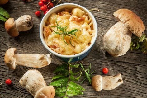 Рецепты блюд из белых грибов